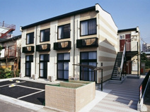 サンフラワーの画像