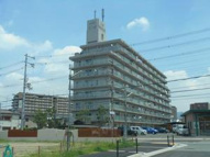 ルネ八尾の画像