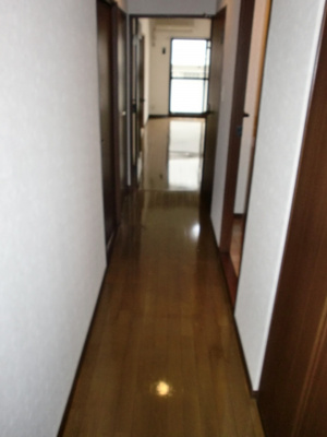 【玄関】 | ハイアルブル迎田