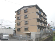 ハイアルブル迎田の画像