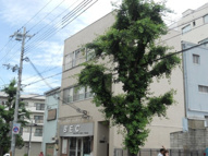 栄ビルの画像