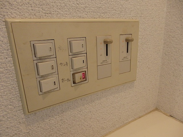  | ヤングラス