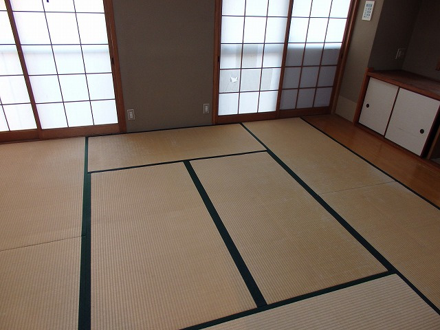  | ヤングラス