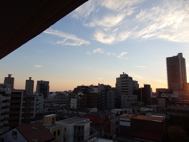  | ヤングラス