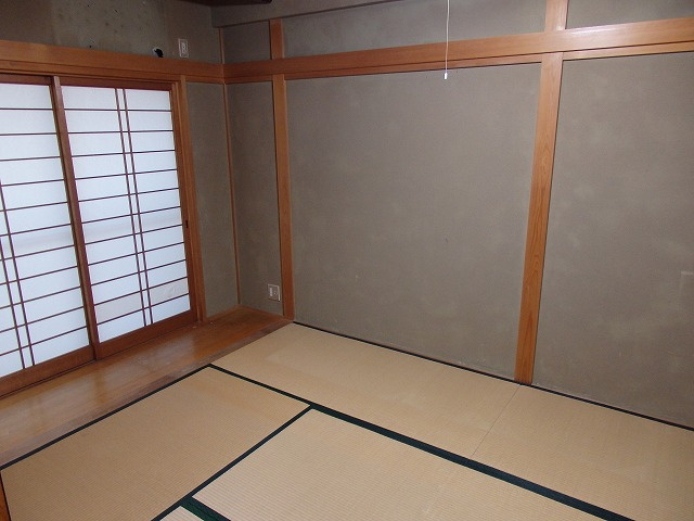  | ヤングラス
