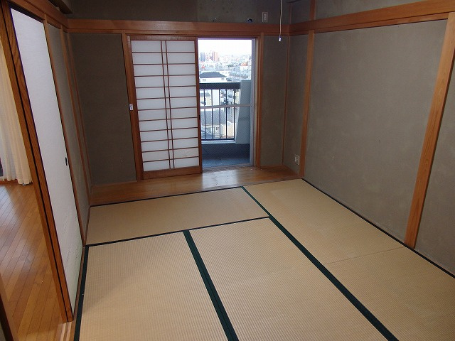  | ヤングラス