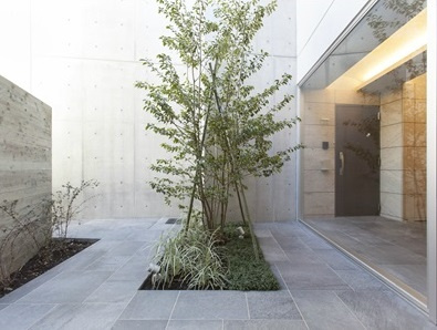 【その他共用部分】 | ラ・プレス神宮前 | シンボルツリーのある中庭