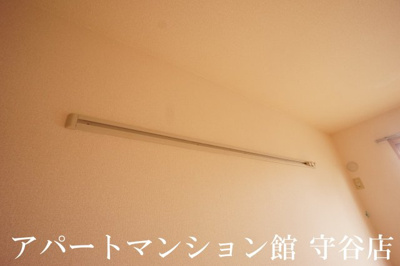 【その他】 | カサベルデA