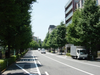 【周辺】 | 前面道路