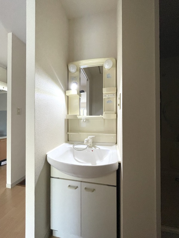 スターハウスの洗面所