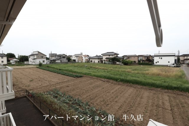 アークグレイスⅢの展望