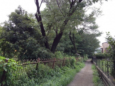 【周辺】 | 三鷹台エミネンス | 玉川上水