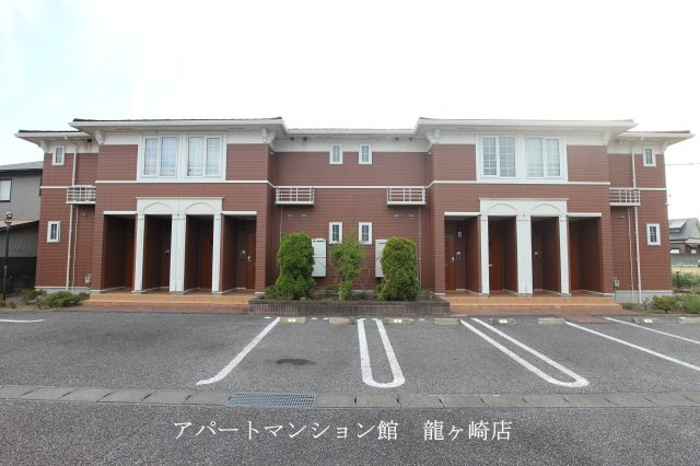 ハナミズキ