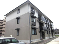 サンフラワー貴の画像