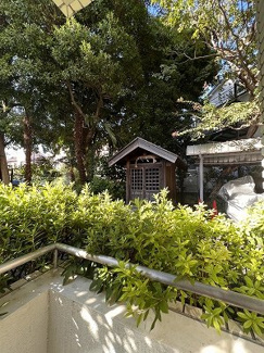 【展望】