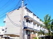 クリンゲルバウムの画像