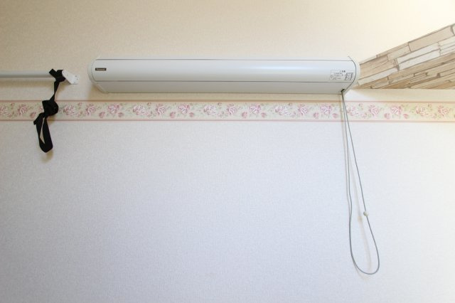 ユナイト 金沢八景ペドロ・ドミンゴのその他