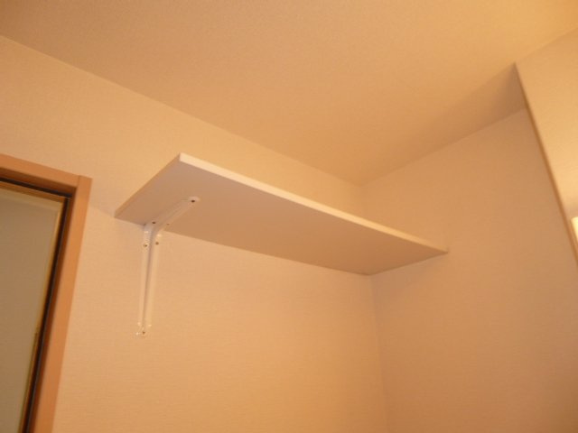 ＥＣＯ－レジデンス「モア」　Ｄの洗面所|洗濯機置場　棚