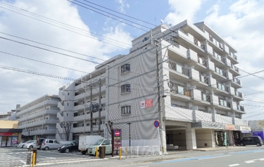 ラパスマンション諏訪野の外観