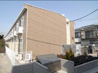 たぶの木の画像