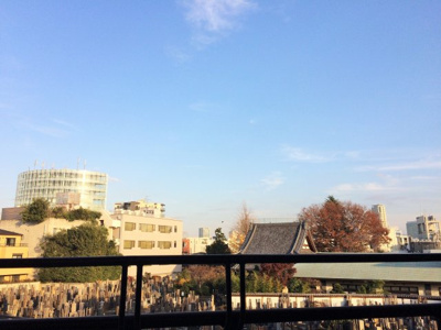 【展望】 | 五月女ビル | 五月女ビル