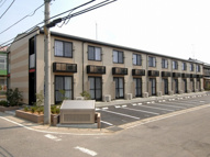 ＨＩＧＵＲＡＳＨＩの画像