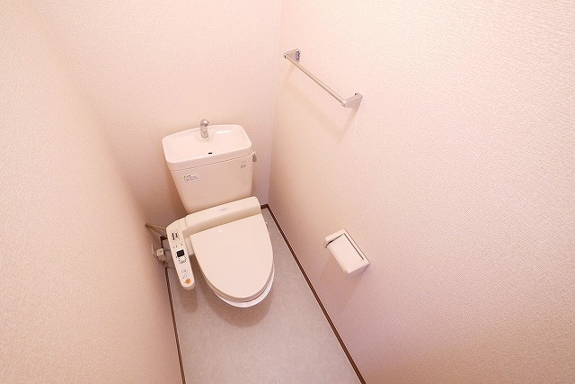 ベルメゾン大幸Bのトイレ|落ち着いた色調のトイレです