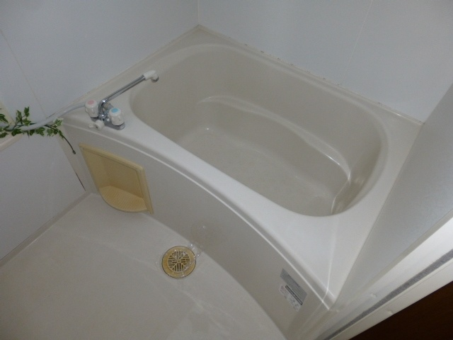 メゾン武智Ａの浴室