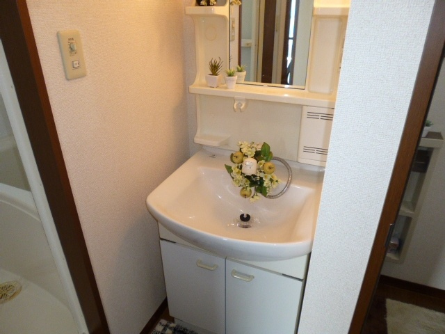 メゾン武智Ａの独立洗面台|洗髪洗面台