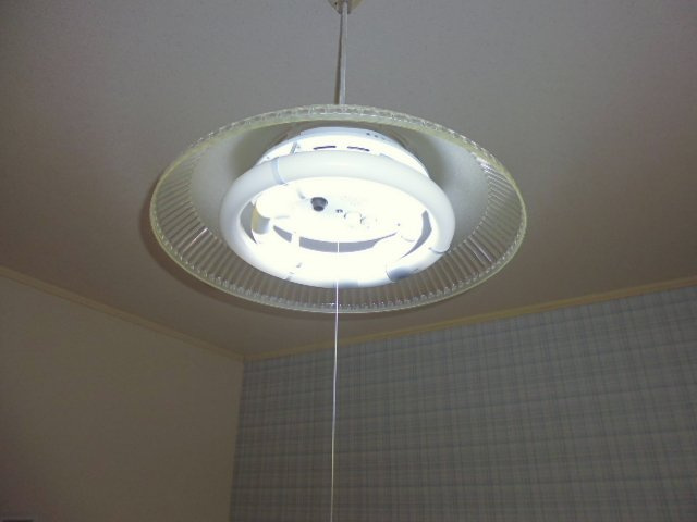 グリーンクラークのその他|照明