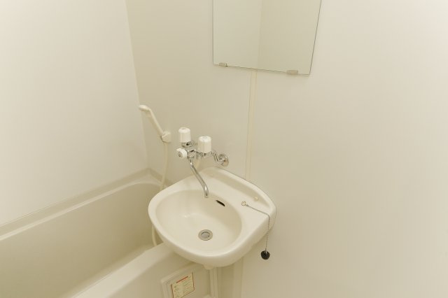 リリックコート翔の洗面所