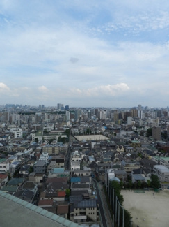 【展望】