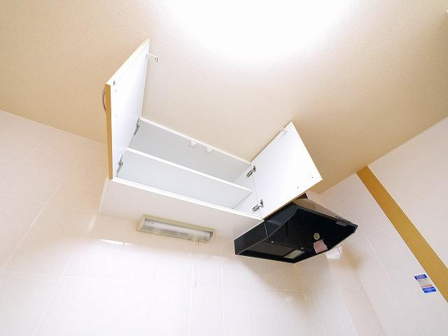 ヒムス　プルーニェの収納|こまごまとしたものを収納できそうですね