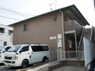 セゾングレースの画像