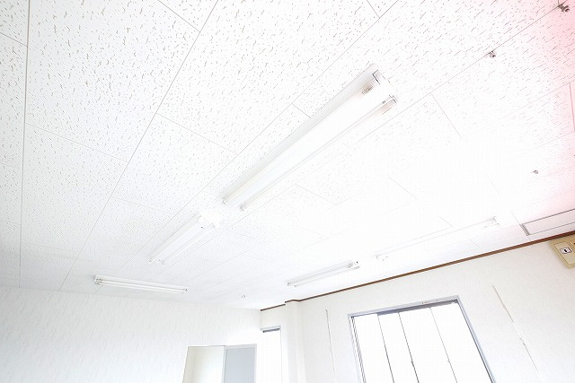 伊藤店舗（古市町）の内装