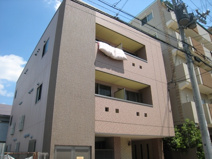 コート八重桜の画像