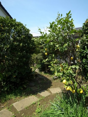 【その他共用部分】 | ガーデンハイツC | 情報提供:ねいばーふっど千葉店