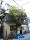 ＨＯＵＳＥ　ＵＭＥＦＵＮＥの画像