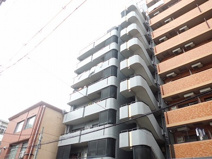 グローリーヨシダの画像