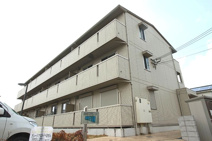 REED OTT'S Ⅱの画像