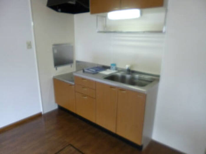 パレス・ザ・グリーンBのキッチン