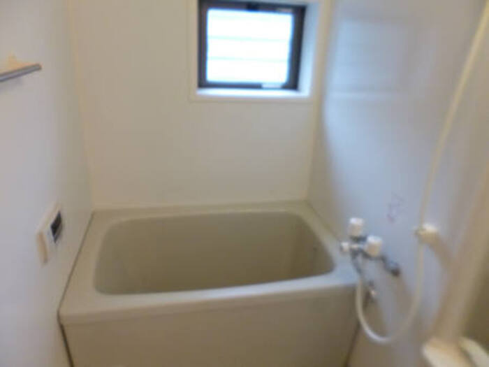 パレス・ザ・グリーンBの浴室