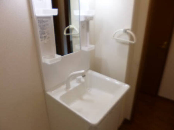 パレス・ザ・グリーンBの洗面所