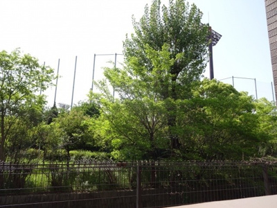 【展望】 | ギャラリーコート豊中曽根