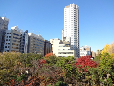 【展望】 | パレドール乃木坂