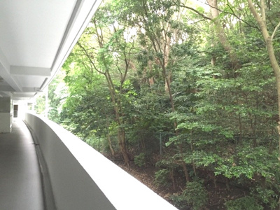 【その他共用部分】 | 芦屋サニーヒル | 玄関前裏山