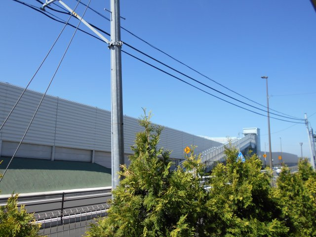 ピノラソの展望