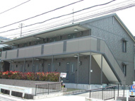 カラコレスの画像