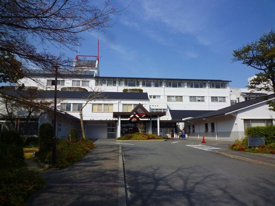  | ピセスベルデ