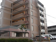 パレエトワールの画像